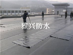 龍華地區(qū)專(zhuān)業(yè)防水補(bǔ)漏與管道安裝工程服務(wù)詳解